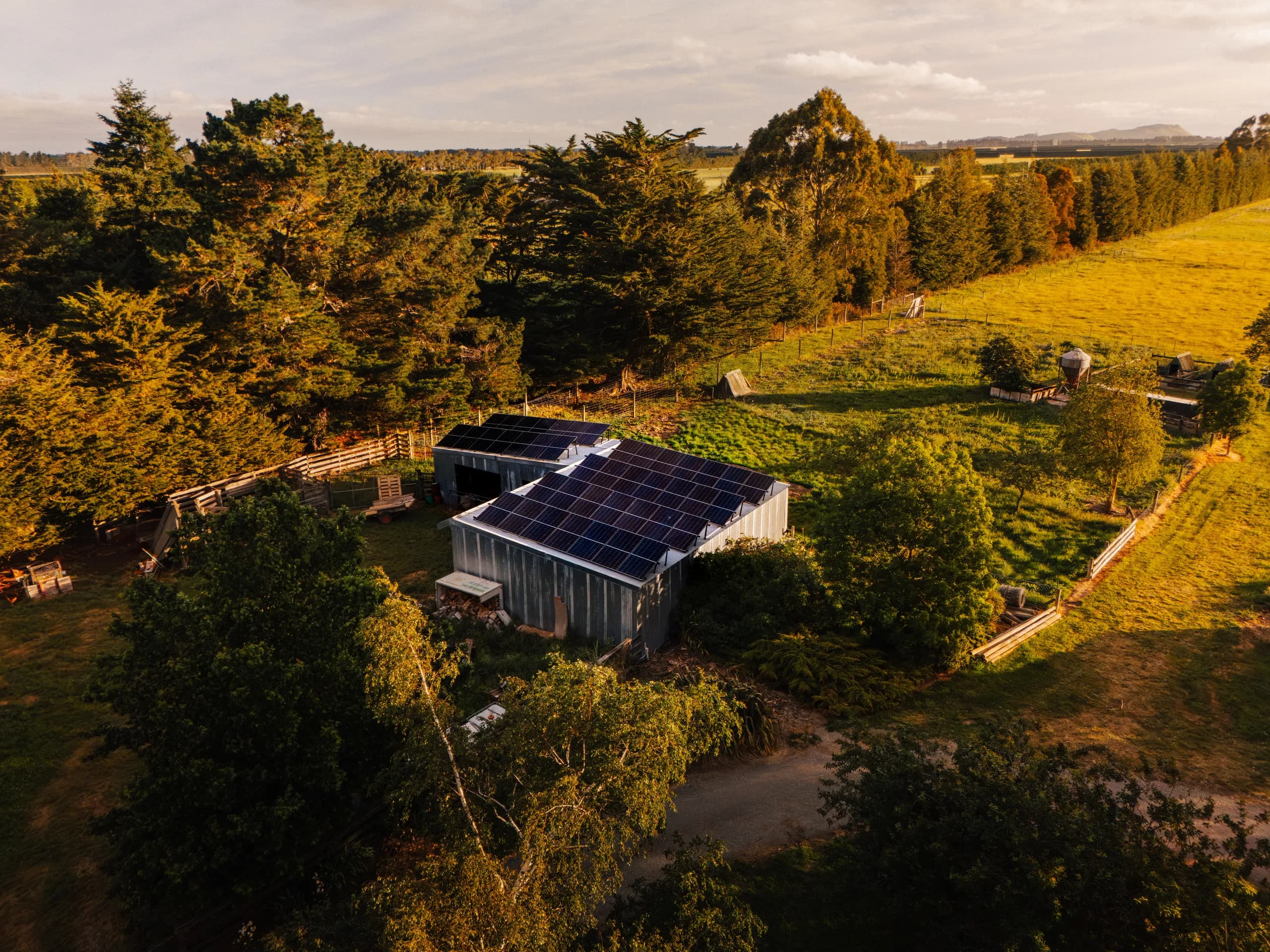 Golden-hour drone shot of solar panels mounted on a weathered corrugated shed amid trees and green paddocks.